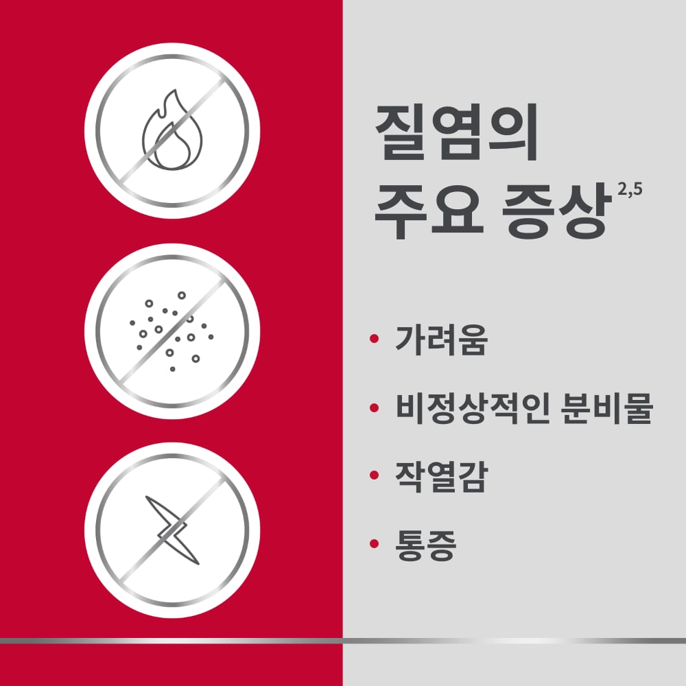 Three icons showing benefits of Canesten treatment, with caption on the right: 질염의 주요 증상5,8: 가려움, 화끈거림, 붉게 부어오름 main thrush symptoms: itching, burning, redness, swelling  